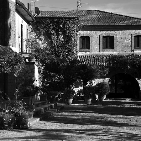 Hotel La Caveja Pietravairano Exteriér fotografie
